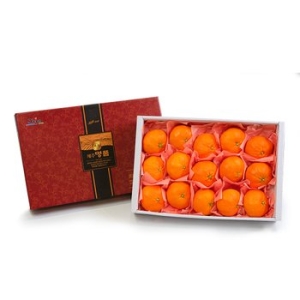 달찐과일  제주 레드향 고급 선물세트 21-30과 중향 5kg