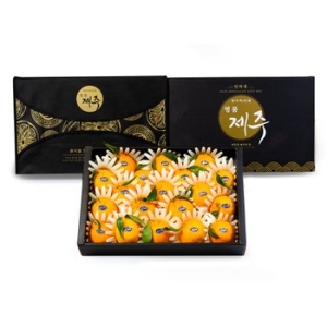 달찐과일  제주 한라봉 명품 선물세트 큰봉 11-18과 5kg