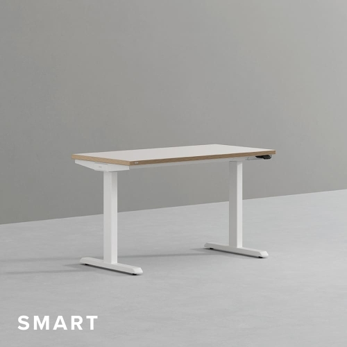 데스커 스마트 모션 스탠딩 책상