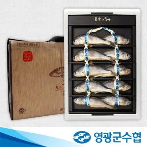 영광군수협  법성포 영광 굴비 오가 선물세트 1.0kg 10미