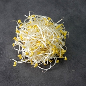 농부마음  꼬불이 콩나물 2kg