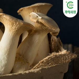 온도씨  가락시장 새송이버섯 500g