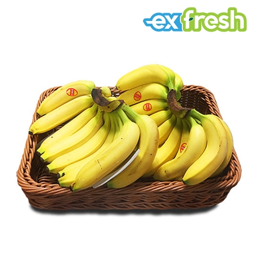 익스프레쉬 고당도 바나나  6송이 1박스