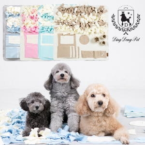 딩동펫 노즈워크 마약 담요 중형