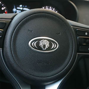 오토리아  이글 기아 커브형 핸들엠블렘(혼캡)