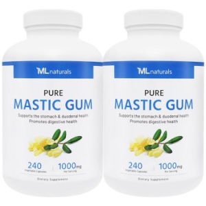 마이라이프 내추럴스 매스틱검 1000mg 240정 2병