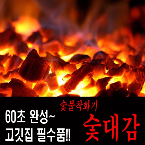 숯대감 SPGR-130P - 에누리 가격비교
