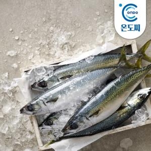 제주창해수산  제주 고등어 특대 200g