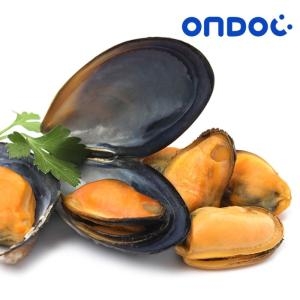 온도씨  국내산 홍합살 1kg