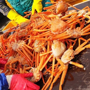 홈스퀘어  구룡포 A급 자숙 연지홍게 3kg