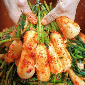 금화영농조합  국내산 전라도 총각김치 2kg