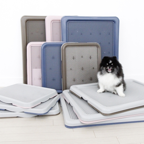 세토리 한판뚝딱 그물망 실속형 배변판