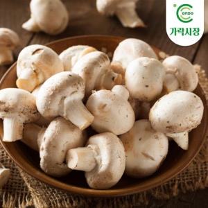 온도씨  가락시장 양송이 500g