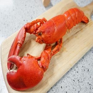 랩쿡  캐나다 자숙랍스타 2마리 900g-1000g 냉동 랍스타