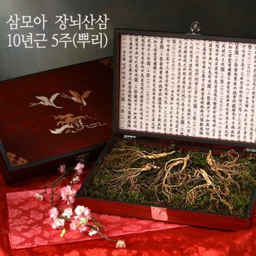 삼모아농장 삼모아 장뇌산삼 10년근산[5뿌리]