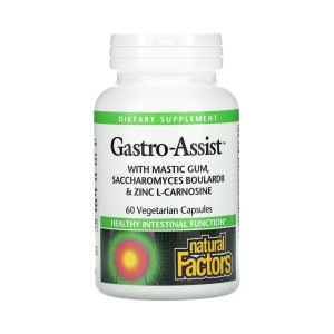 네추럴팩터스 매스틱검 개스트로 어시스트 60정