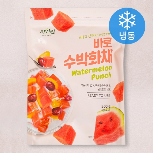 자연원 바로 수박 화채 500g