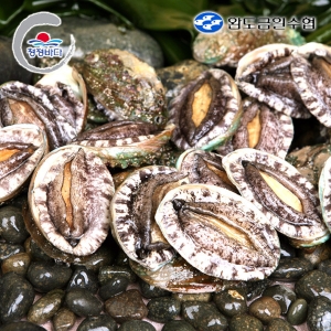 완도금일수협  활 참전복 40~50미 2kg