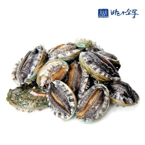 바다소풍  완도 활 꼬마전복 총 1kg이상