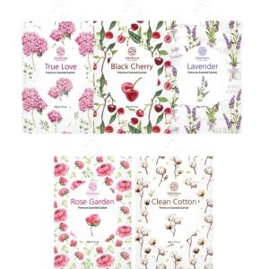 포시즌 올레비엔 샤쉐 대 20g