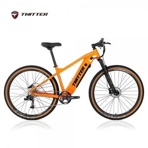 트위터  E300 36V 13Ah 29인치 2022년