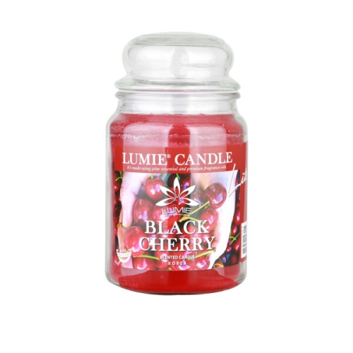 르미에 라지자 캔들 570g