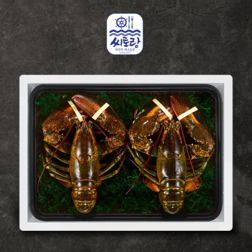 씨토랑  프리미엄 활랍스터세트 2미 1.2kg