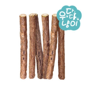 캣완트 마따따비 스틱 M