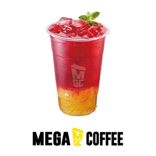 메가MGC커피 사과유자차 ICE