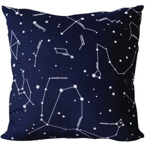 오아이  constellation