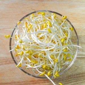 농부마음  꼬불이 콩나물 1kg