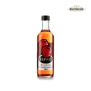 한국쥬맥스 빅포드 에스프리 라즈베리 탄산음료 300ml