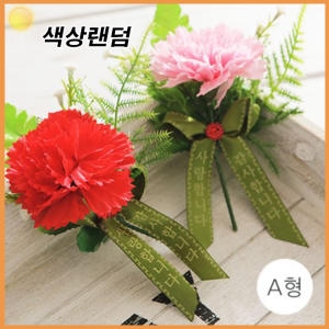 브랭땅코리아  카네이션코사지a형