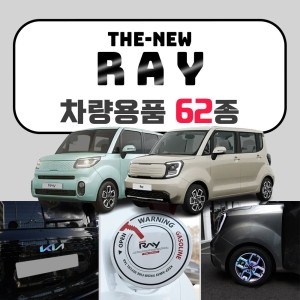 기아  더뉴레이 차량용품 튜닝 악세사리 커버 모음