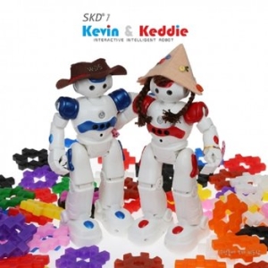 월드 SKD1 스마트 로봇 1089298