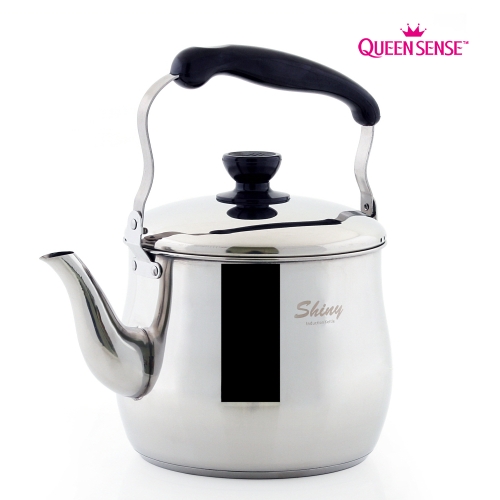 퀸센스 샤이니 IH 인덕션 주전자 5L