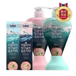 LG생활건강 페리오 히말라야 핑크솔트 잇몸전문 치약칫솔세트