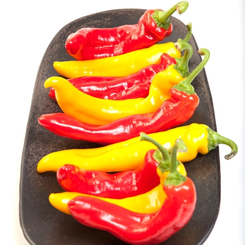 오아로  트리벨리 파프리카 1.2kg