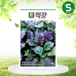 다농  헬프팜 적갓 씨앗