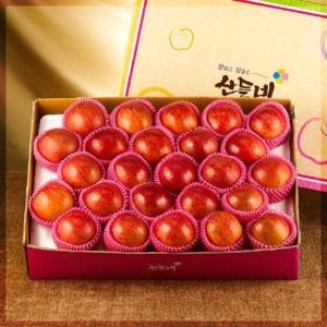 산들네 세척사과25과내외 5kg