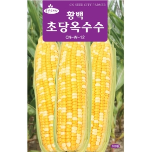 영농사  황백 초당옥수수 씨앗 100립 황백초당옥수수씨앗