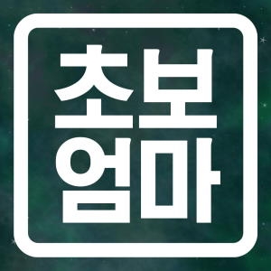 제제데코  초보운전 삐약이 세모 스티커