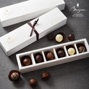 브로이어  벨기에 초콜릿 어쏘트먼트 컬렉션 6p