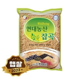 현대농산 국산 현미찹쌀 2kg 찰현미