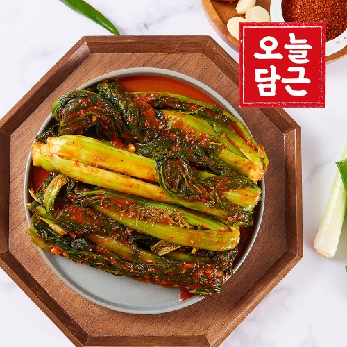 오늘담근 전라도 갓김치 2kg