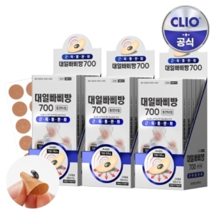 대일화학공업 대일빠삐방 700 10매입