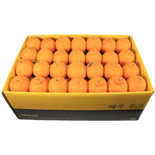 삼다몰  제주 꼬마한라봉 중과 10kg