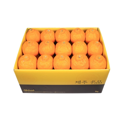 삼다몰  제주 꼬마한라봉 중과 24-27과(개)내외 5kg