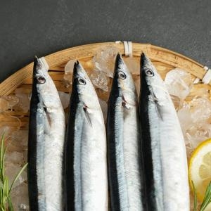 비비수산  꽁치 1kg 8-11마리