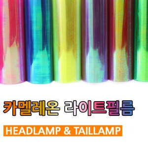 본투로드 카멜레온 라이트 필름